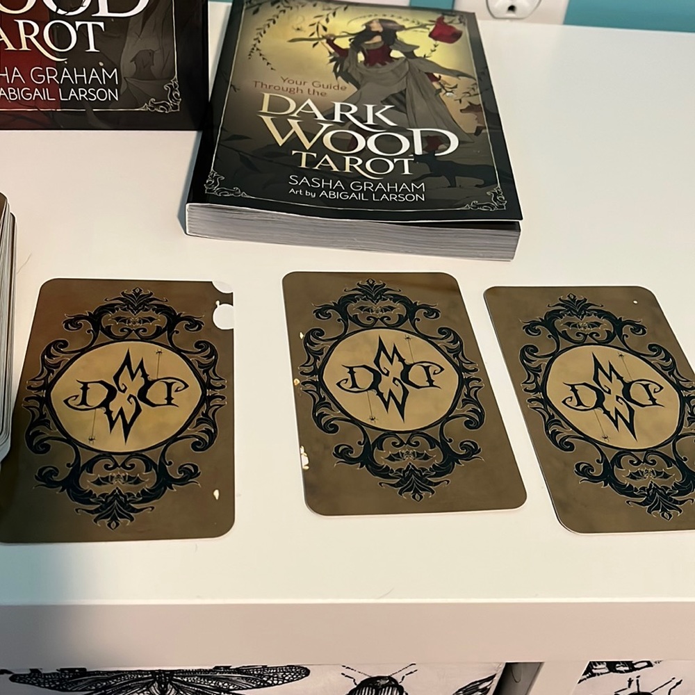 The Dark Wood Tarot by Sasha Graham